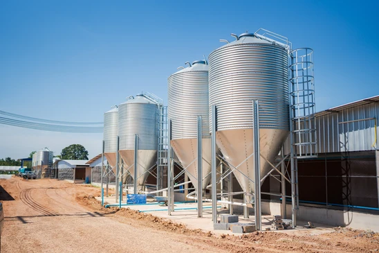 Vue d'un ou plusieurs silos de stockage cylindriques en béton ou acier, installés sur une plateforme ou zone de stockage agricole en extérieur. Les silos doivent être clairement visibles, de taille imposante, montrant l'infrastructure de stockage fonctionnelle destinée à la conservation de matériaux ou produits agricoles. L'image doit mettre en évidence l'aspect technique et professionnel de l'ouvrage sans présence de personnes, prise de jour avec bonne luminosité.